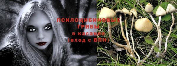 стаф Горнозаводск