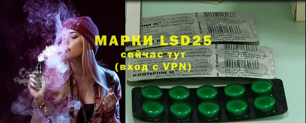 стаф Горнозаводск