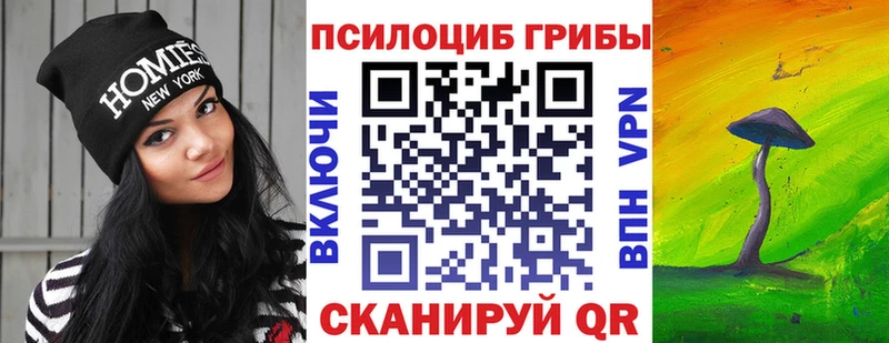 Псилоцибиновые грибы Psilocybe где продают наркотики Белинский